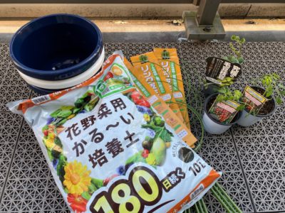 おうち時間を楽しもう！家庭菜園のススメ