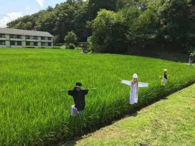 お米作り体験 ~お米の花観察会&かかし作り~